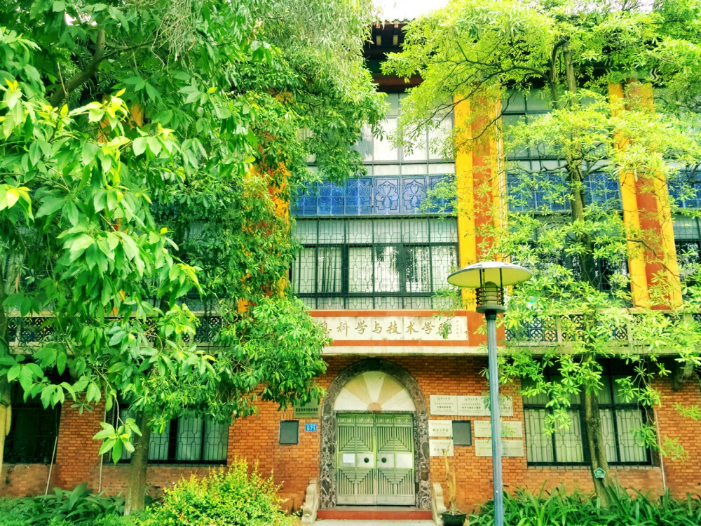 中山大学