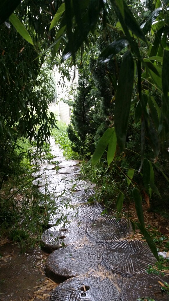 那一条小路，大雨滂沱，像那一次大雨我们一起打着伞走过的校园前的那一条路，有雨，有你。就算有电闪雷鸣，也不怕