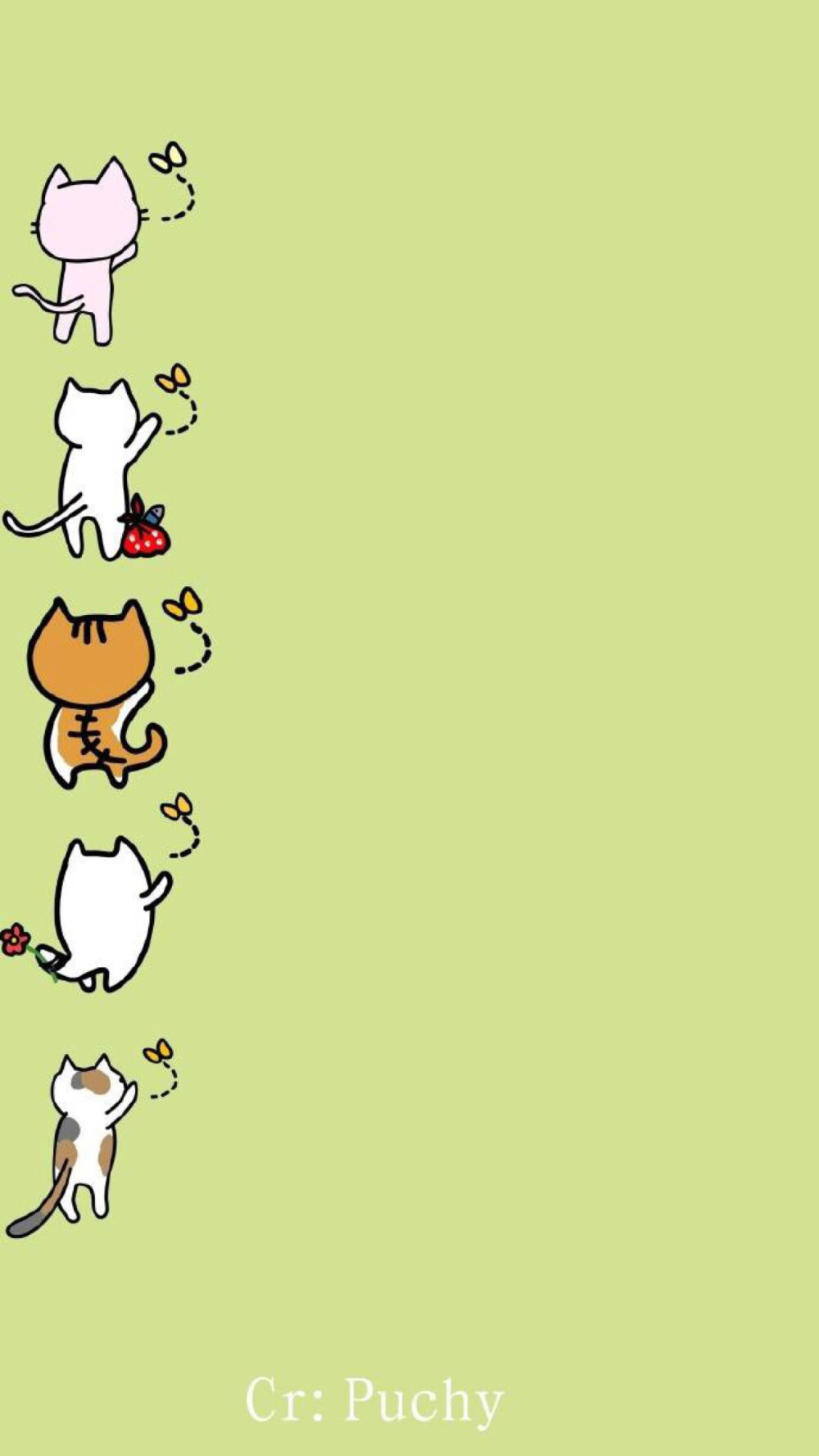 小猫
