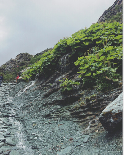 通向雪山的道路（亚丁）