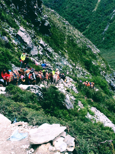 通向山峰的道路