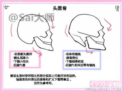 动漫教程，男女设计