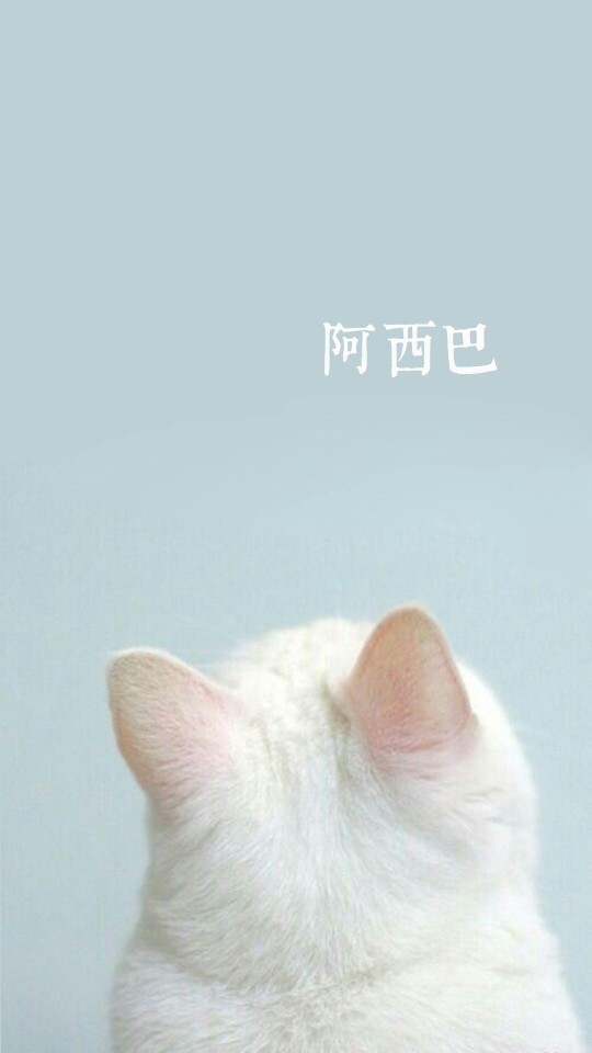 可爱小猫壁纸 文字