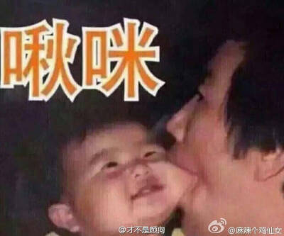 这个图我可以笑一年