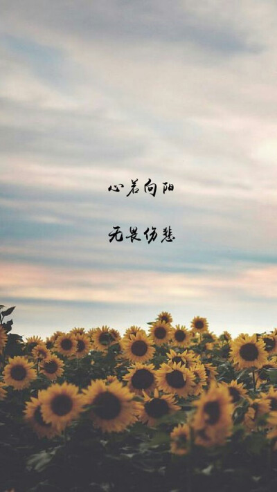 美句