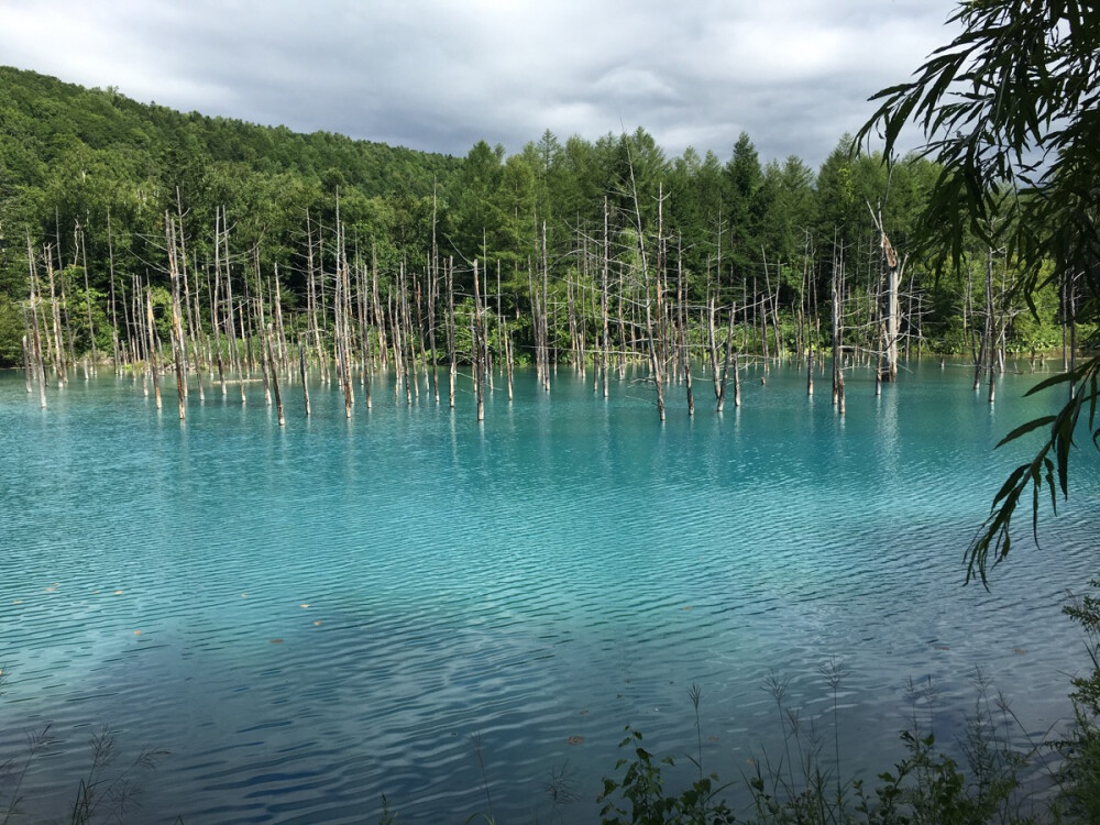 日本的湖，好美哦～～