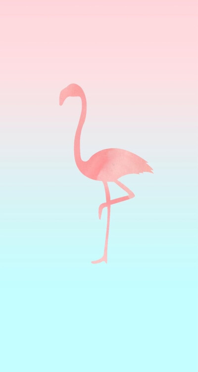 粉蓝色 火烈鸟