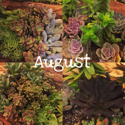 August