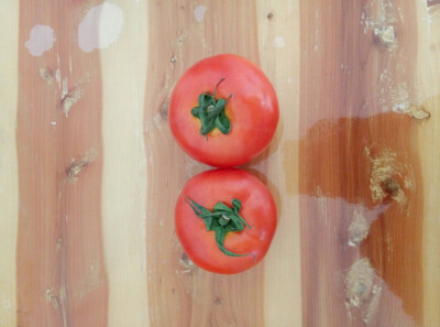 两只tomato