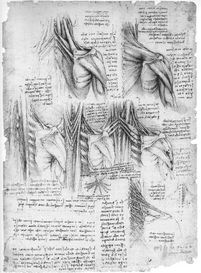 艺术大师 Da Vinci 达芬奇 人体研究素描手稿