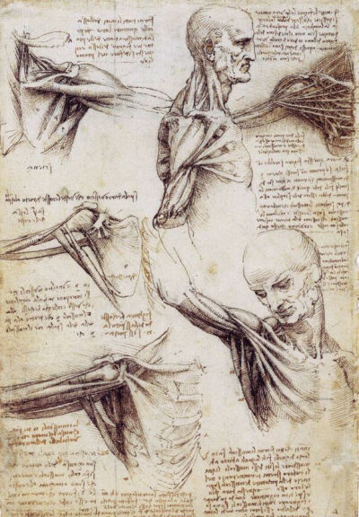 艺术大师 Da Vinci 达芬奇 人体研究素描手稿