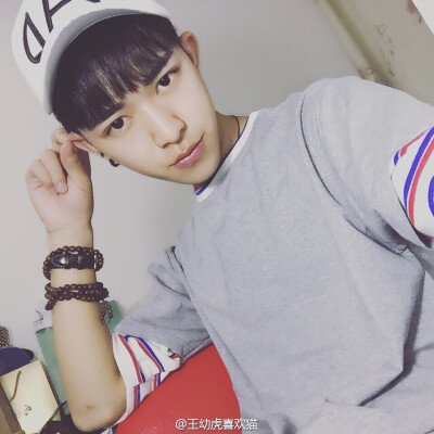 王幼虎啊!