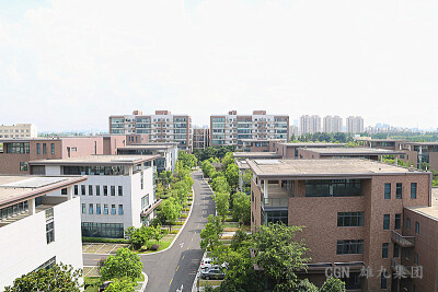 雄九集团窗外风景