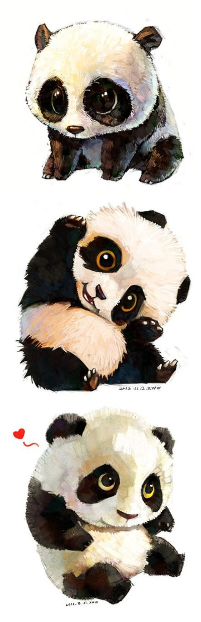 A Panda.