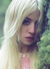 allison harvard