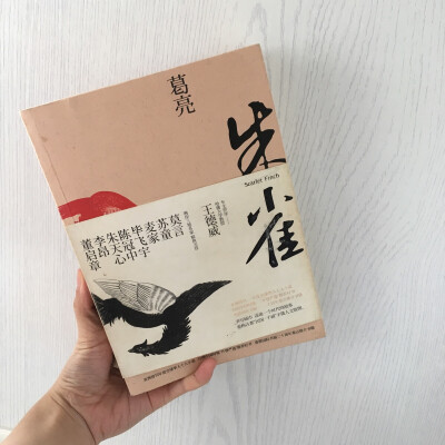 最爱的作者！所有书都看完了！这本最厚最压抑是讲南京四代人的小说，小切口但是涵盖了南京从晚清到改革开放的命运，很压抑，但是很好看。