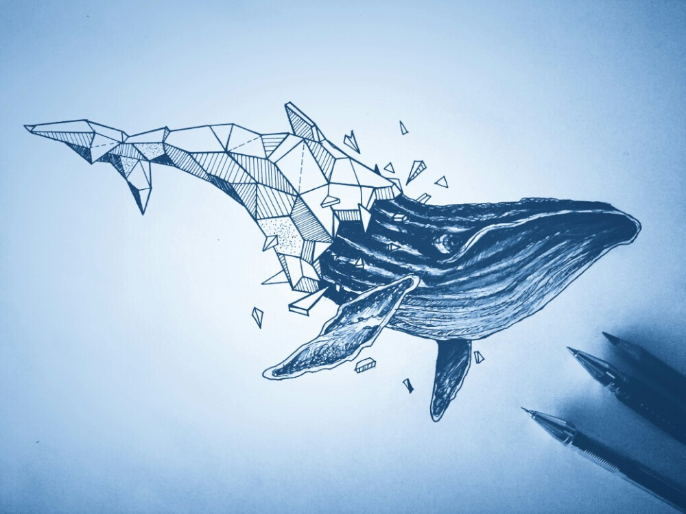 几何动物之鲸鱼临摹手绘加滤镜猴猴看