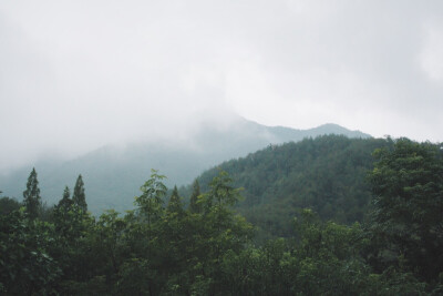 雨过之后