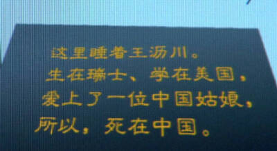 这里睡着王沥川。生在瑞士，学在美国，爱上了一个中国姑娘，所以，死在中国。
《遇见王沥川》