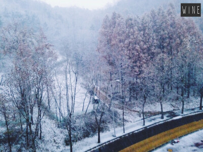 后山的雪