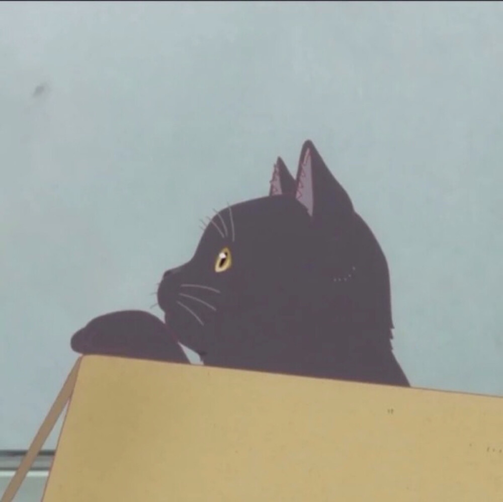 头像 º 她与她的猫 º