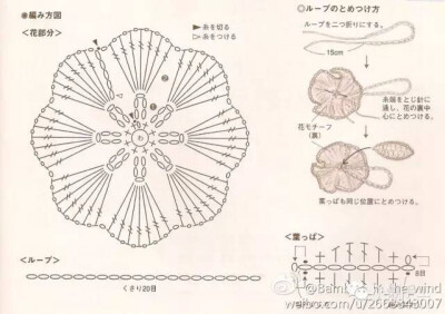 罂粟花