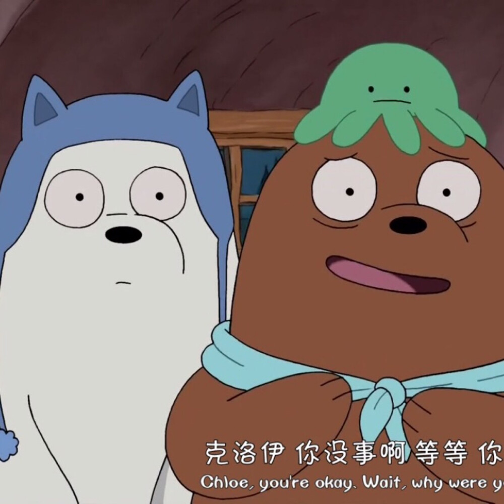 Ice bear&Grizzly