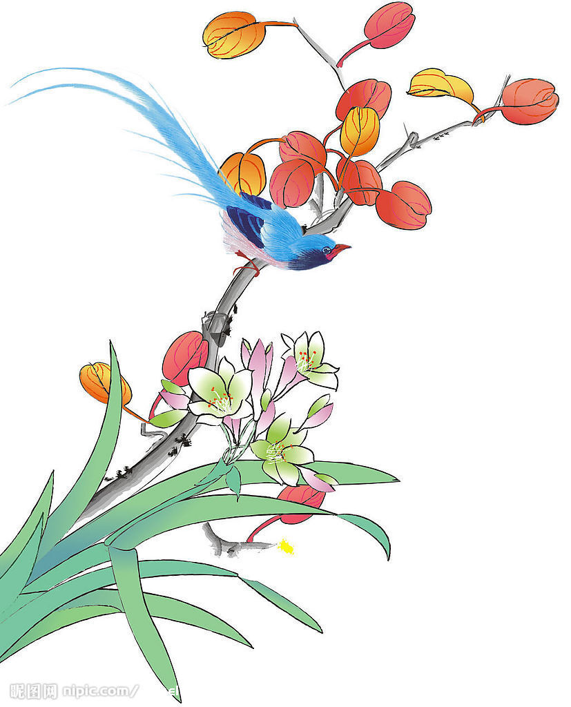 画眉鸟 （欧阳修） /手绘插图
百啭千声随意移，
山花红紫树高低。
始知锁向金笼听，
不及林间自在啼。