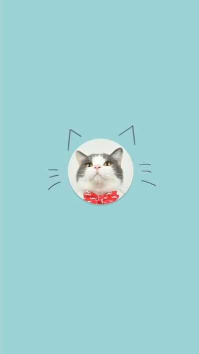 简单 清新 可爱 猫咪 壁纸 锁屏 背景图