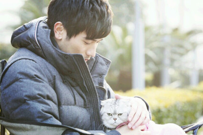 BF&CAT