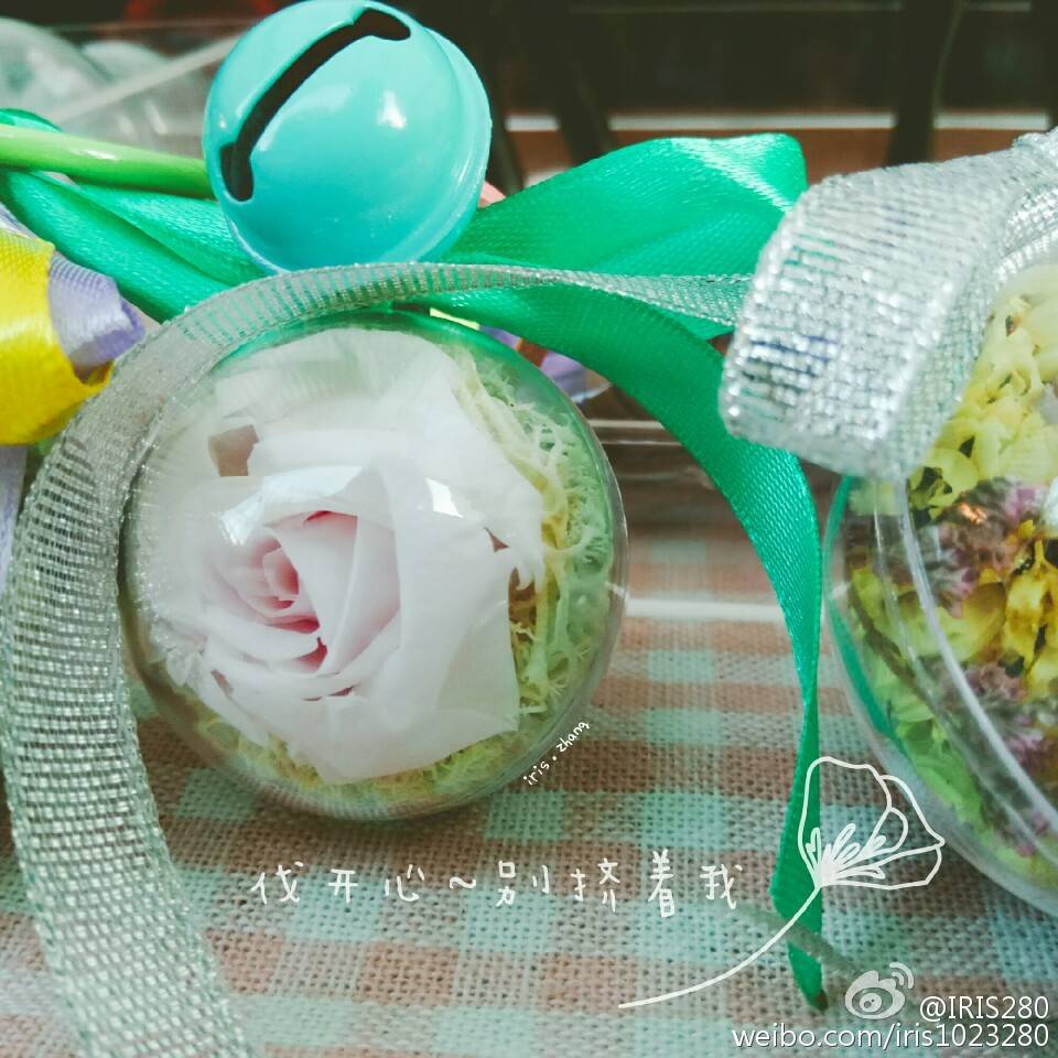 手工diy，永生花 