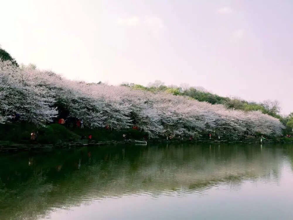 长沙植物园?；ń谒脑? id=