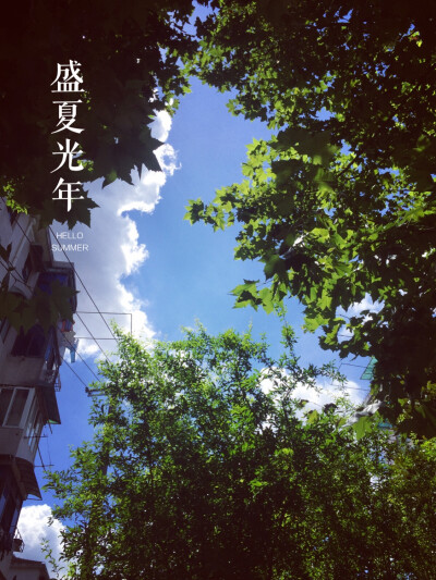 夏天