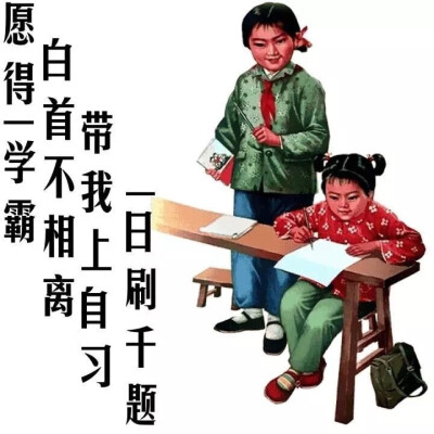 愿得一学霸，白首不相离。