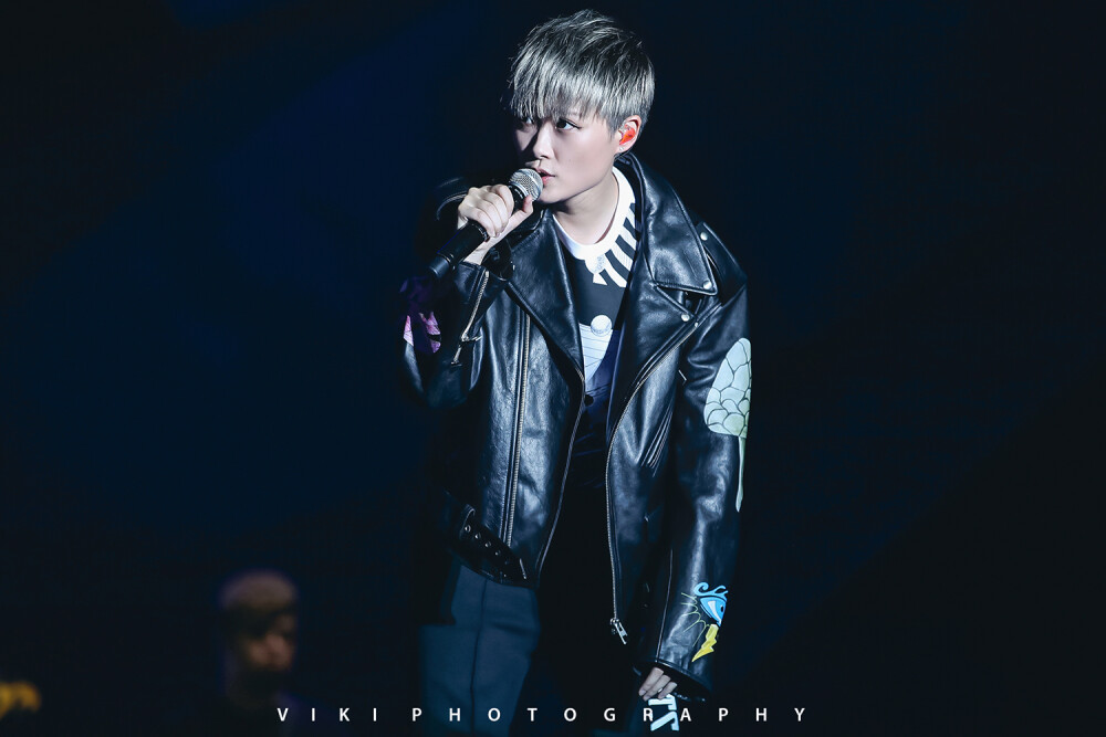 李宇春echo回声音乐节