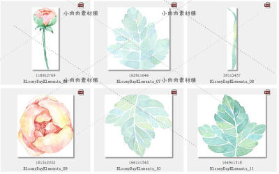 紫绣球花玫瑰牡丹婚庆创意卡片装饰手绘水彩PNG免抠设计素材PNG27