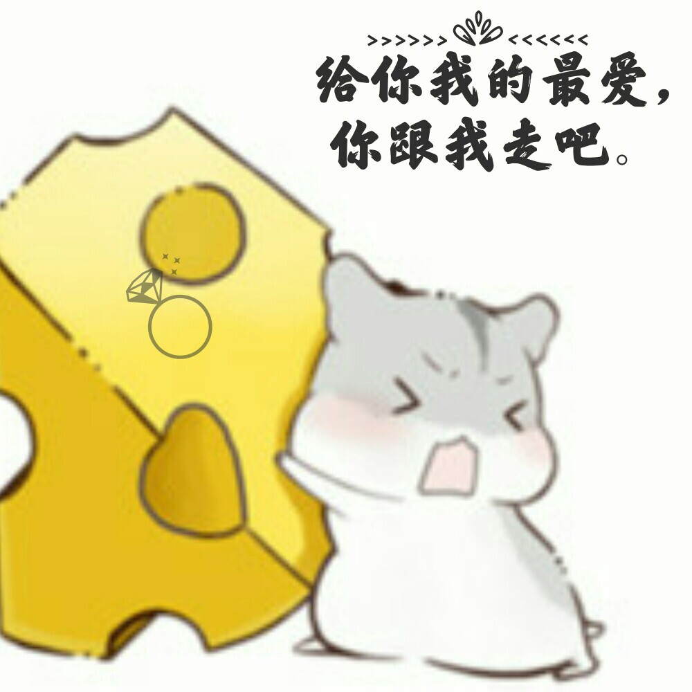 小仓鼠表情包