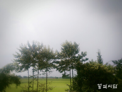 雨后