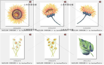 唯美夕阳红彩色铅笔向日葵雏菊手绘免扣手账贴纸设计素材PNG28