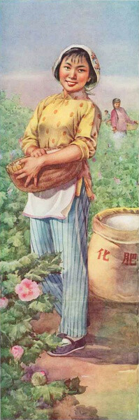 1964年11月《新农村》徐寄萍作。