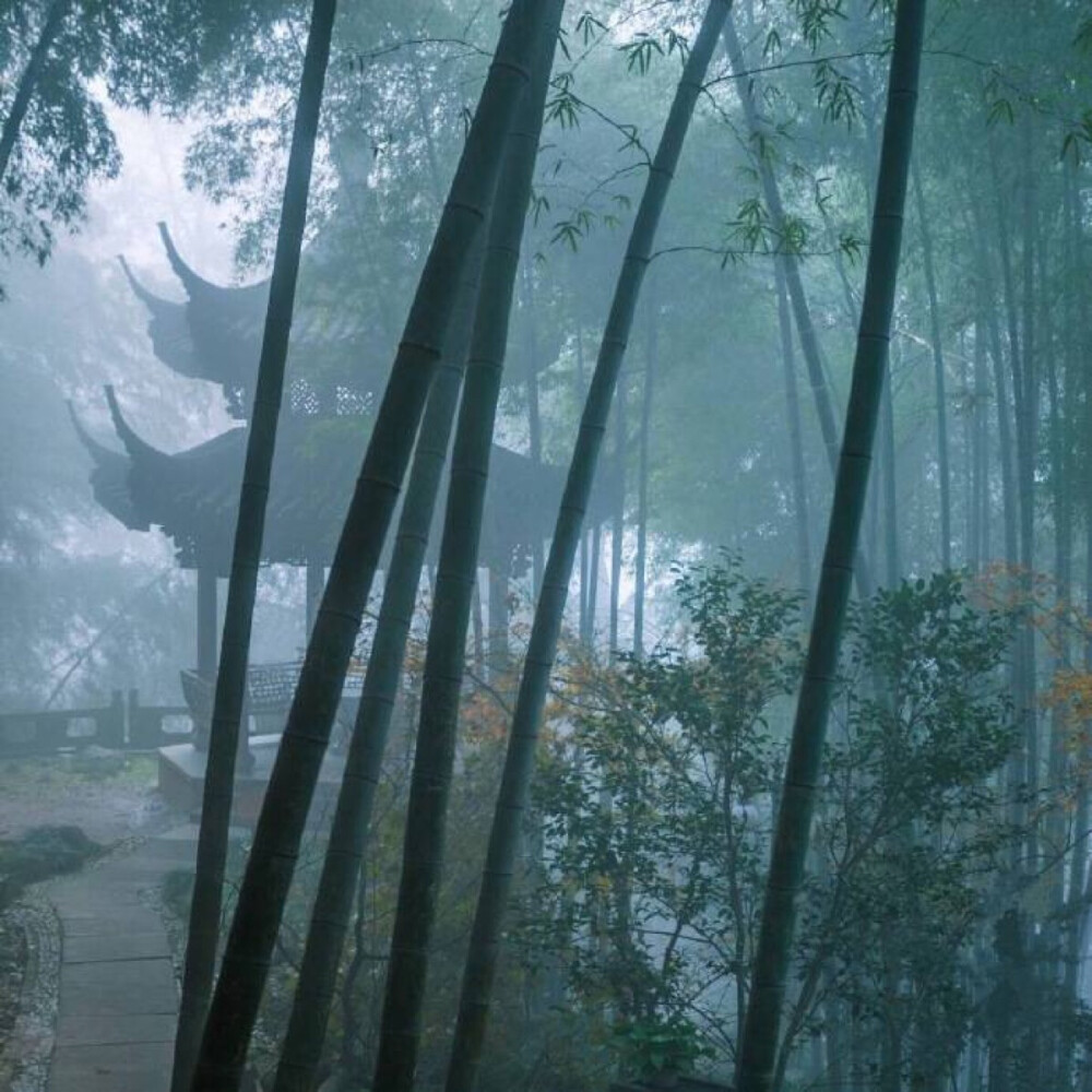 望断江山人千里，夜寄一风一雨声