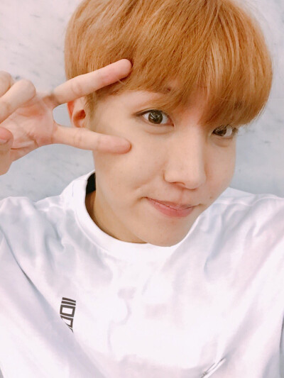 Bangtan Boys 방탄소년단 防弹少年团 J-HOPE 제이홉 정호석 郑号锡