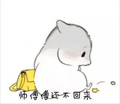 仓鼠表情包