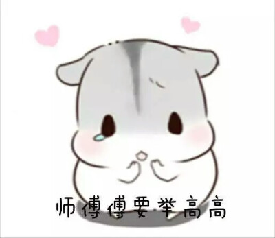仓鼠表情包