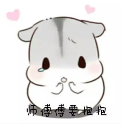 仓鼠表情包
