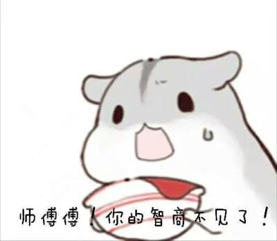 仓鼠表情包