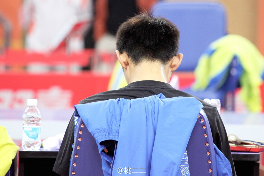 张继科 萌萌哒后脑勺