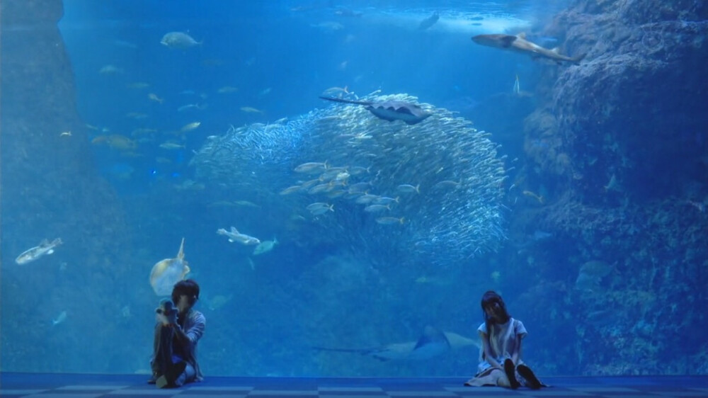 水族馆是一定要去的