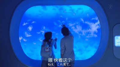 水族馆是一定要去的