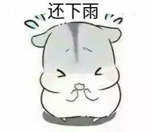 仓鼠球表情包系列宵夜